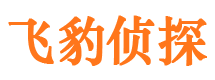 宣武市婚外情调查